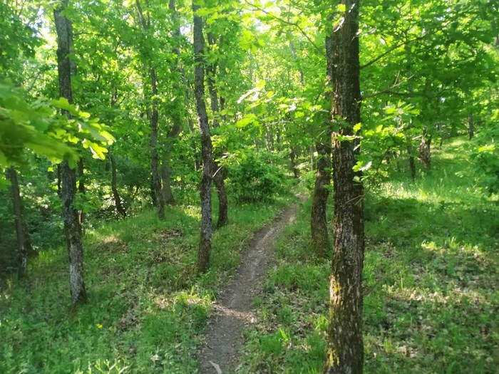 Çerkezköy’de Gezilecek Yerler – Sanayiden Serin Yeşilliklere, Tarihi ve Doğal Duraklarla Dolu Bir Rota