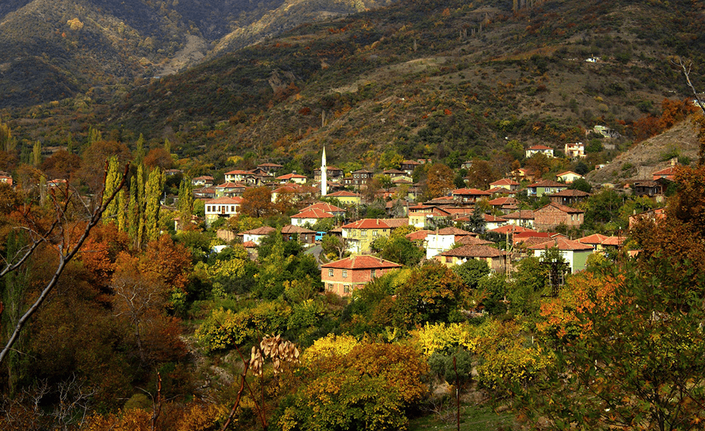 Hayrabolu’da Gezilecek Yerler – Tarihî Köylerden Köprü Gezegenlerine Dingin Bir Karadeniz Rotası
