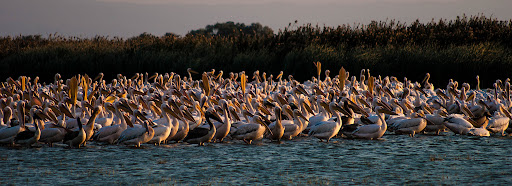 Manyas’ta Gezilecek Yerler